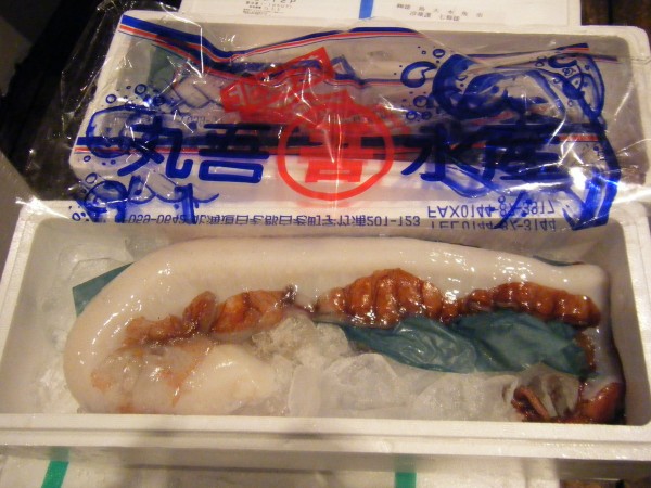 ２月７日　本日のお奨めは「北海道産：生蛸」です。サムネイル