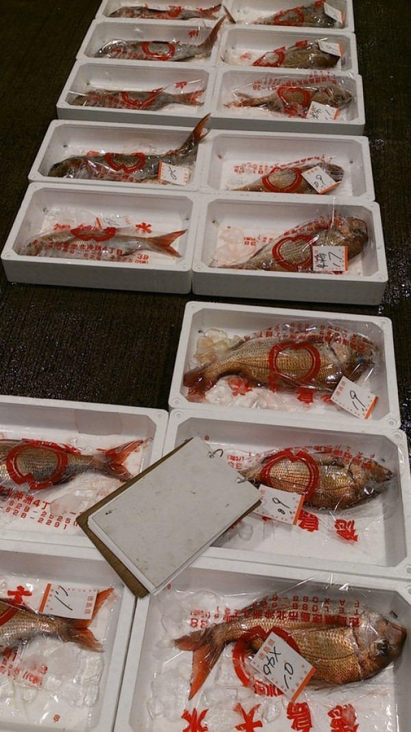 ２７年１月６日　今年は開市から天然鯛が豊漁です。　サムネイル