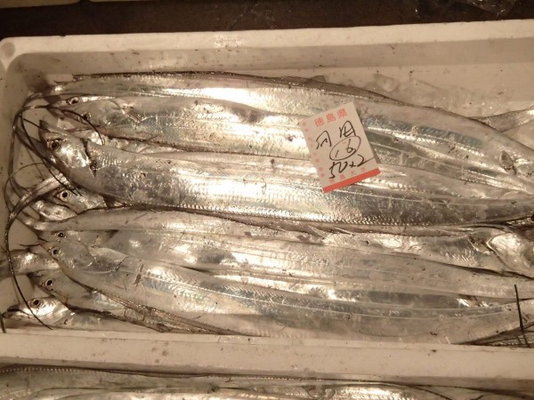 ２月４日　本日のお奨めは「太刀魚：網もの」です。サムネイル