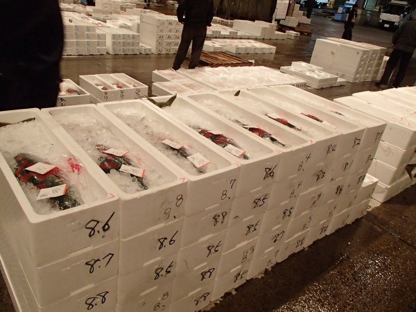 ２月５日　火曜日　本日のお奨めは「日本海産：天然ブリ」です。サムネイル