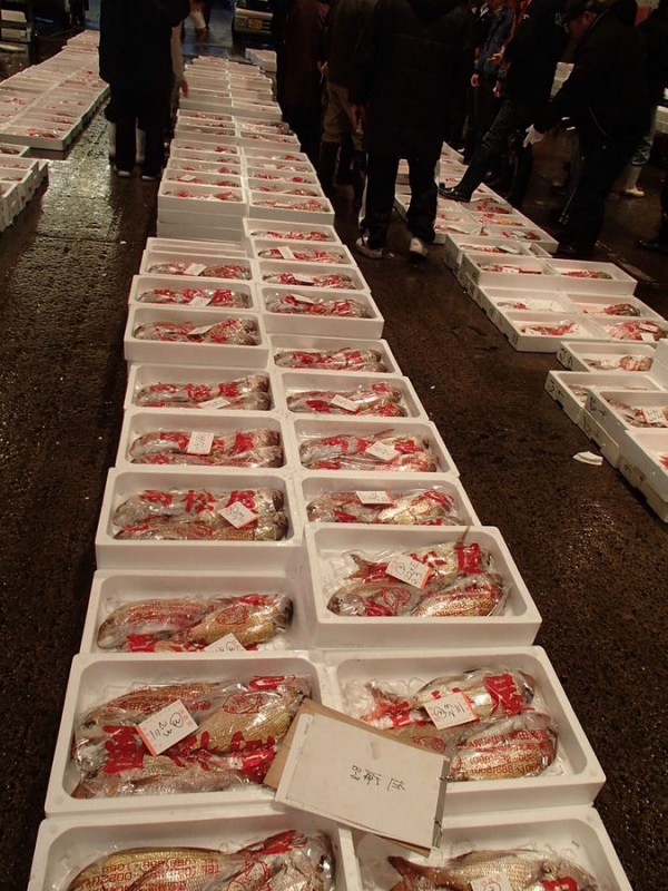 １２月１３日　木曜日　本日のお奨めは「鳴門産天然鯛」です。サムネイル
